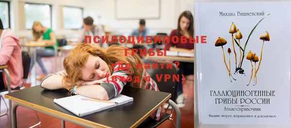 гидропоника Абаза