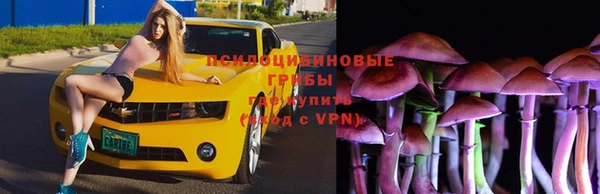 гидропоника Абаза