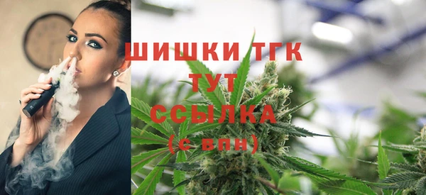 гидропоника Абаза