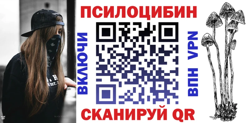 hydra ТОР Игарка Галлюциногенные грибы Cubensis
